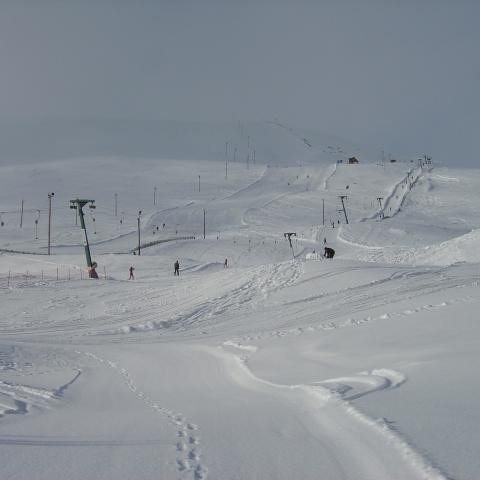 Skíðasvæðið á Dalvík 9. mars 2008, Jónsmót.