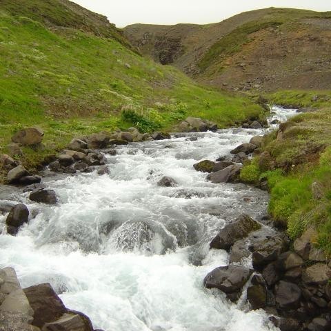 Vatnið í tjörnina rennur úr Brimnesánni.