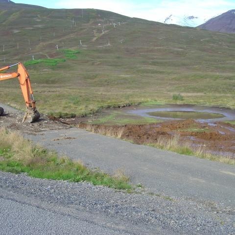 Tjörnin að tæmast....