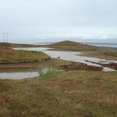 Tjörnin séð til norðurs.  Framkvæmdum við hana lokið og vatnsborðið hækkar.